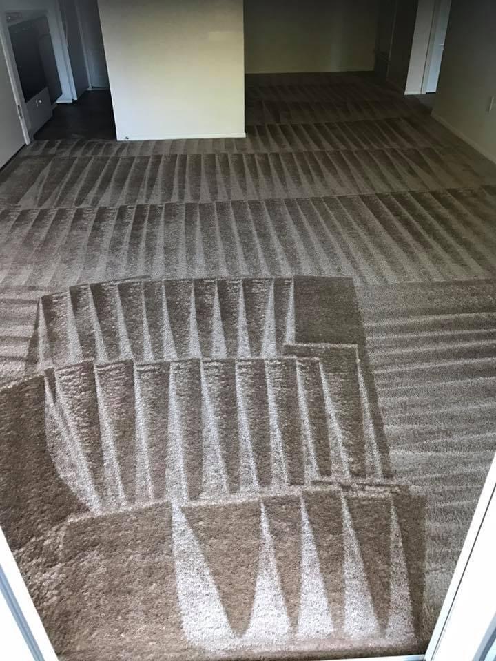 Freshly steam cleaned carpet